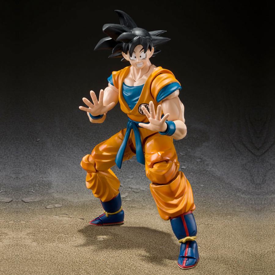 sh figuarts goku action figure