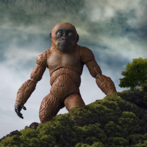 Godzilla / Action Figure Suko & Mothra from Godzilla x Kong : The New Empire (2024) S.H.MonsterArts